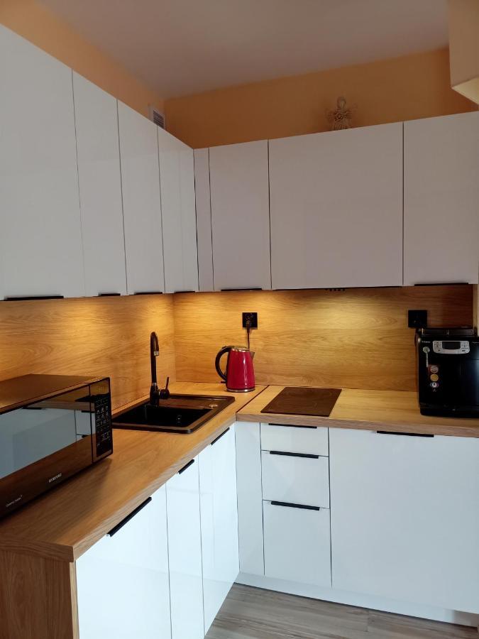 Nostalgiczne Koscielisko Apartament & Spa エクステリア 写真