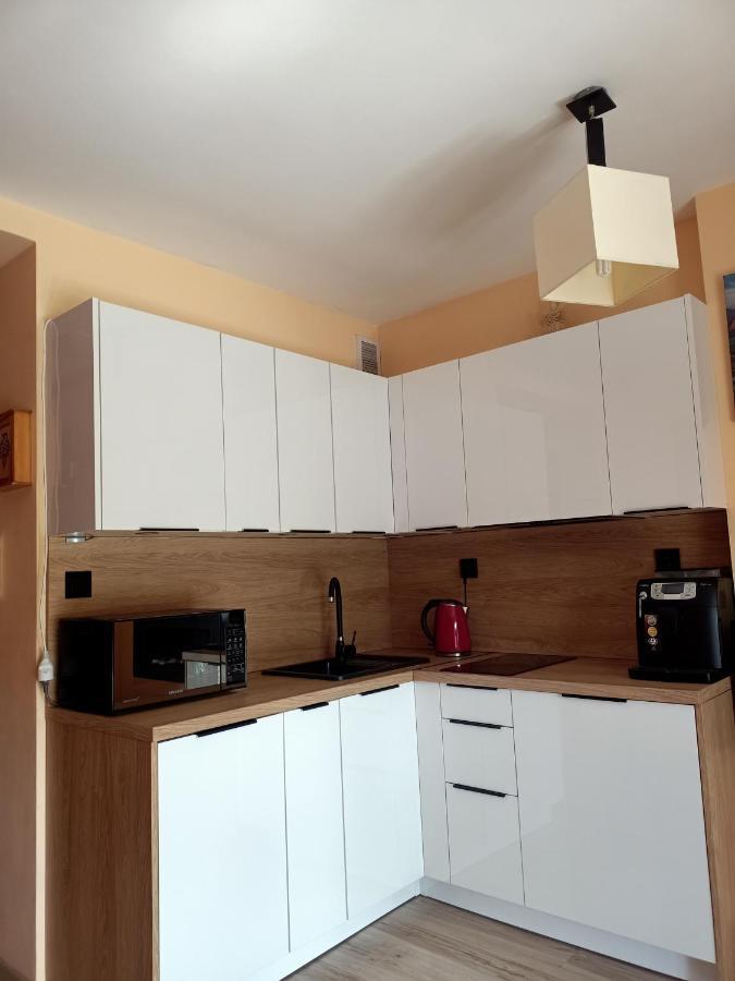 Nostalgiczne Koscielisko Apartament & Spa エクステリア 写真